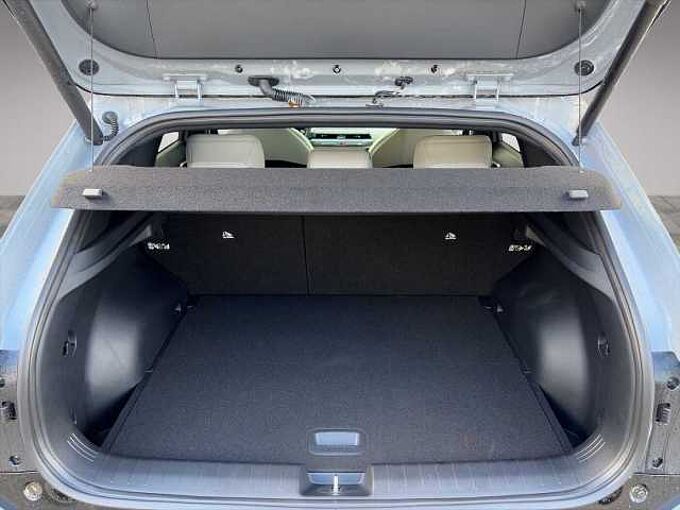 Kia EV4 81,4-kWh GT-line GT-Line mit Drive-Wise+Comfort+Connect-Paket und Glasdach