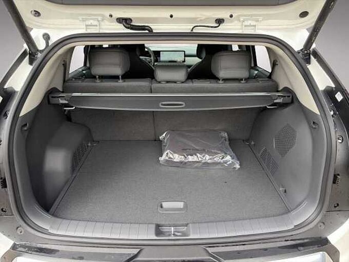 Kia EV3 81,4-kWh FWD Earth EV3 81.4 EARTH WIC BUS DG UP DW 19Z SD