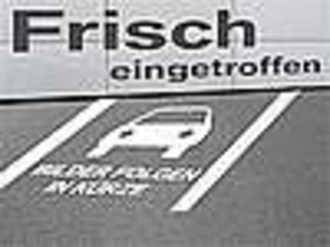 Renault R4 E-Tech Evolution 150 Comfort R.*Winterp.*All-Wetter-R*