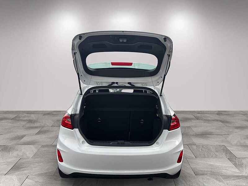Ford Fiesta Trend